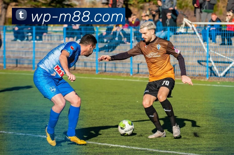 M88明升官网服务体系